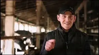 Отучить телёнка и корову сосать молоко qoramolllar uchun tikonli halqa burun uchun