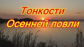 Тонкости осенней  ловли - Карася, Леща, Густеры, Налима
