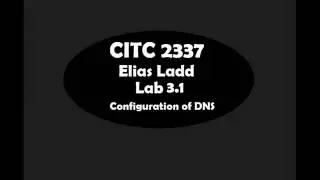 Windows Server Configuration of DNS