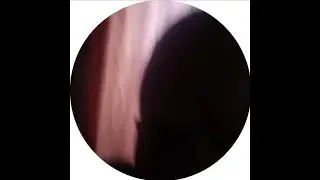 2 октября 2023 г.
