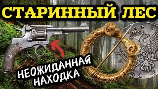 FOUND A MISSING SETTLEMENT IN THE FOREST! ​​NO ONE HAS FOUND SO MANY THINGS BEFORE! SEARCH WITH A...
