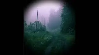 Танцы минус - Цветы (Цветут цветы) (Doomer version)