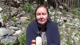 ЧЕМ ОБРАБОТАТЬ МЕСТО УКУСА КЛЕЩА || Профилактические средства при энцефалите
