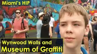 Miami's Wynwood Walls and Museum of Grafitti