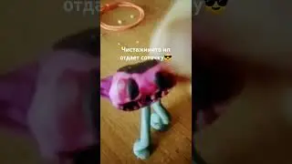 сори что долго не было телефон разрядился но вчера нашла зарядку