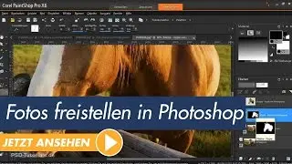 Corel PaintShop Pro Tutorial:  Fotos freistellen mit der intelligenten Auswahl