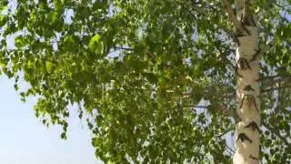 Ольга Дубровская ДУША ПРАВОСЛАВНАЯ