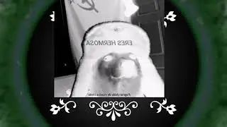 Prueba de the World.mp4