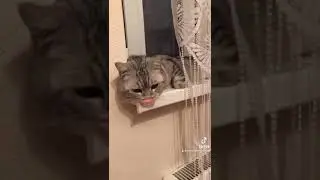 Юлька-кастрюлька))) 