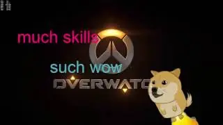 Pharah and Zarya Combo Sextuple Kill!!