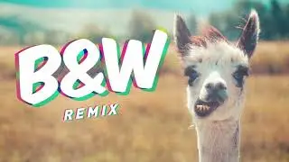 B&W: Mahnah Mahnah (Hardstyle Remix)
