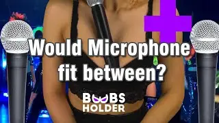 BB Holder //Would Microphone fit between?