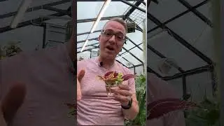Propagating 