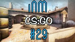 Mily Diceroll Moments | itsnotmily | CSGO #29