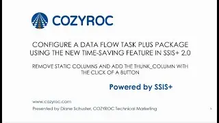 Dynamic Data flow plus. How to remove all of the static columns from the source and destination.