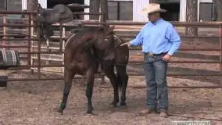 Rob Leach - One Rein Stop