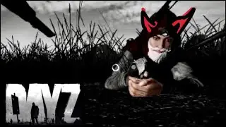 One of THE Sniper Duos on DayZ