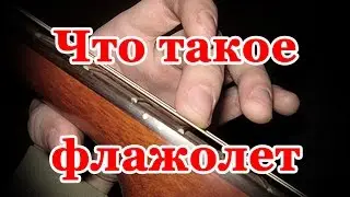 Что такое флажолет (флажелет), как играть флажолет