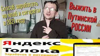 Как заработать денег на хлеб в России 2021. Яндекс толока.