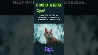 Тайны создания кошек: Почему коты захватывают мир!