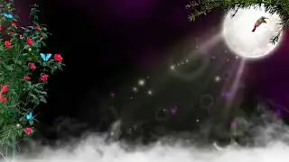 Green Screen video || Chand aur Tare aur  pair paudha wala background template video Environmental