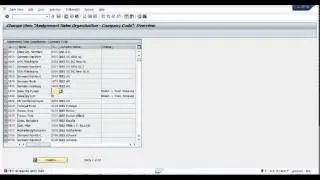 02 ASSIGN SALE ORG TO COMPANY CODE IN SAP