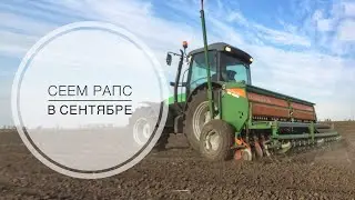 Конец сентября , а мы продолжаем сеять РАПС