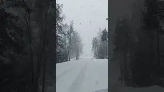winter snow