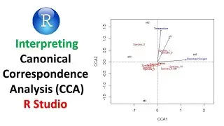 Interpreting Canonical Correspondence Analysis (CCA) in R | Explained Step-by-Step