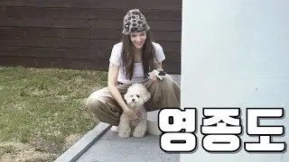 국제커플 | 오늘은 베베데이! 하루종일 애견동반 숙소에서 놀아보자 (2)