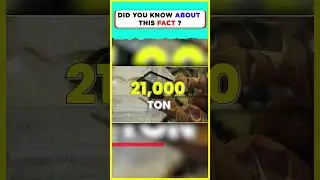 भारत में इतना सारा Gold ? - Facts | #shorts