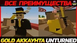 Все Преимущества GOLD аккаунта в UNTURNED