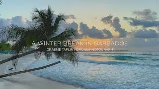 Barbados  - Time for a winter break!