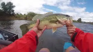 Strike King Baby Rage Craw