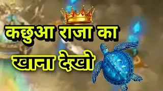 wild Animal Food turtle| कछुआ राजा का खाना