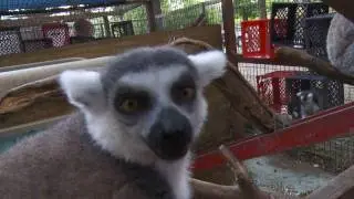 Explore Tulsa ~ Safari's Animal Sanctuary