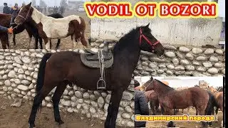 VODIL OT BOZORI Udar OTLAR kirdi bozorga