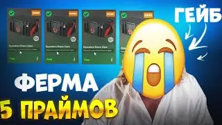 МОЙ ЗАРАБОТОК ЗА 1 НЕДЕЛЮ С ФЕРМЫ НА 5 ПРАЙМОВ в КС 2!