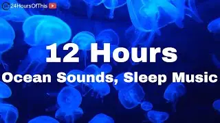 12 Hours of Underwater Ocean Sea Sounds - Relaxing Sleep Music 😴 (ASMR)