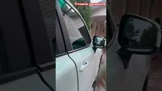 Доводчики дверей TLC300
