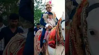 तेरे द्वार पर आई बारात || dware per i Barat |शेखावाटी शादी  | SS BAGDEE #wedding#dulha#video#shorts