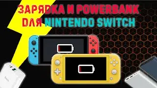 Правильный powerbank и задяное устройство для NINTENDO SWITCH!