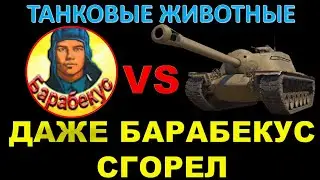БАРАБЕКУС ГОРИТ ИЗ-ЗА НЕАДЕКВАТНОГО СОЮЗНИКА / Даже вежливый Барабекус не выдержал