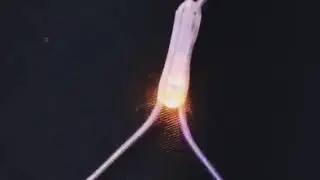 Гирлянда Сетка