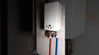 СМЕШНО , НО ФАКТ. И НЕ ПОСПОРИШЬ 😂🫣🤭 