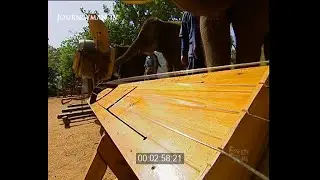 The Thai Elephant Orchestra