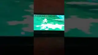 Shiny re bellsprout