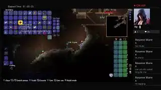 Random Terraria stream (new world)