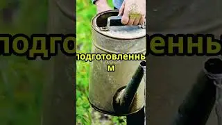 Народное средство от вредителей