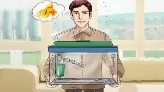 The first Aquarium tips
